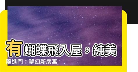 蝴蝶飛入屋|蝴蝶飛入家中有何玄機